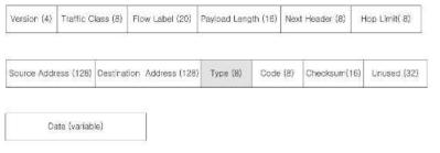 ICMPv6 Error Message Format