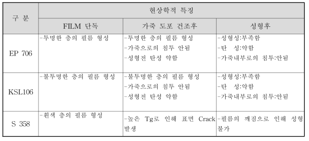 현상학적 특징