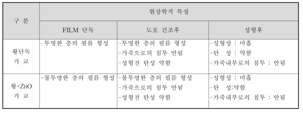 현상학적 특징