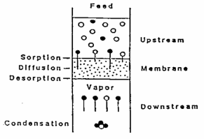 Principle of pervaporation.