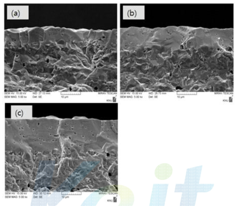 전해질 코팅회수에 따른 파단면 SEM 사진
