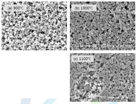 LSM 공기극 소성온도별 미세구조 사진.