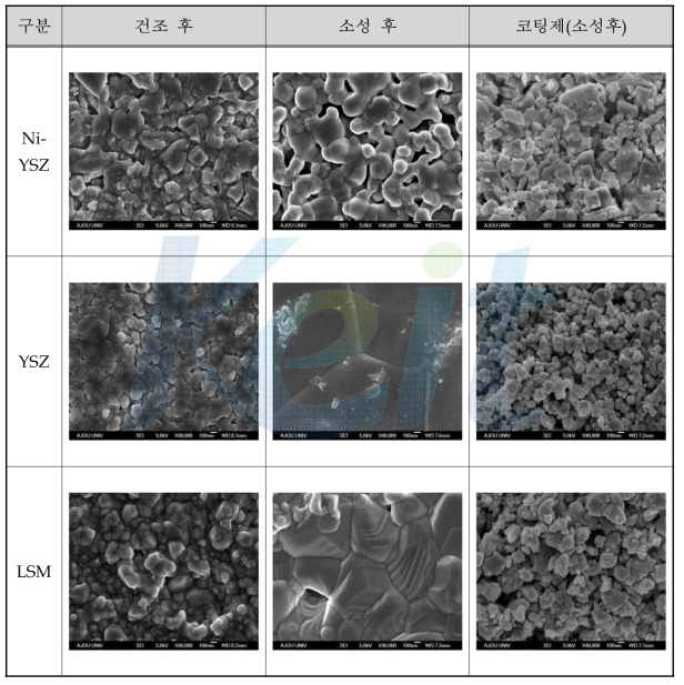 기초 재료 종류에 따른 건조/소성 후 미세구조.