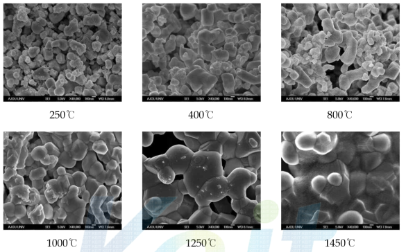 연료극 지지체 열처리 온도별 미세구조.