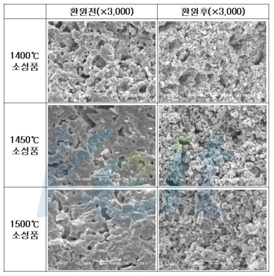 소성온도 변화에 따른 연료극 지지체 미세구조 SEM 사진