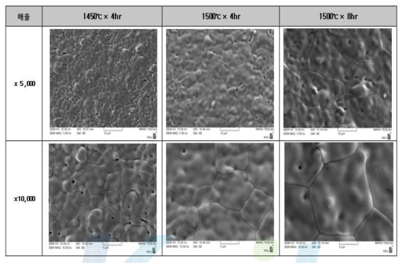 전해질 열처리 온도별 SEM(표면) 사진.