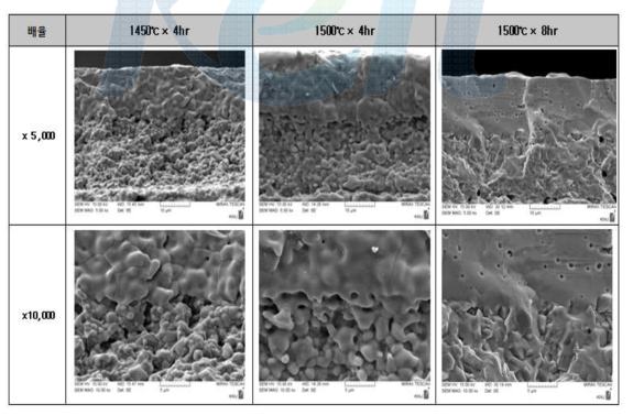 전해질 열처리 온도별 SEM(단면) 사진.