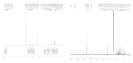 금앵자 추출물로부터 분리된 활성물질의 1 13H-NMR, C-NMR 스펙트럼