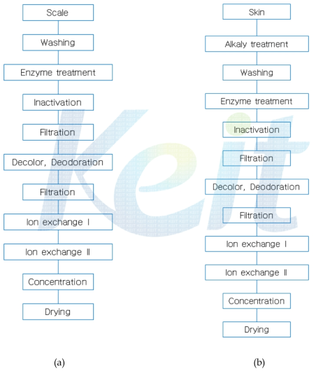 어류 비늘 및 껍질로부터 콜라겐 펩타이드의 기본 제조공정도