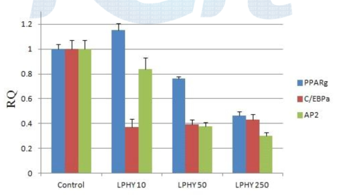 3T3-L1 세포에서 서로 다른 농도의 LPHY의 효과를 실시간 PCR로 분석