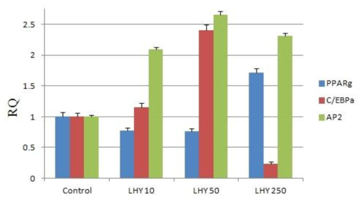 3T3-L1 세포에서 서로 다른 농도의 LHY의 효과를 실시간 PCR로 분석.