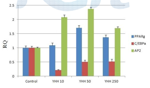 3T3-L1 세포에서 서로 다른 농도의 YHH의 효과를 실시간 PCR로 분석.