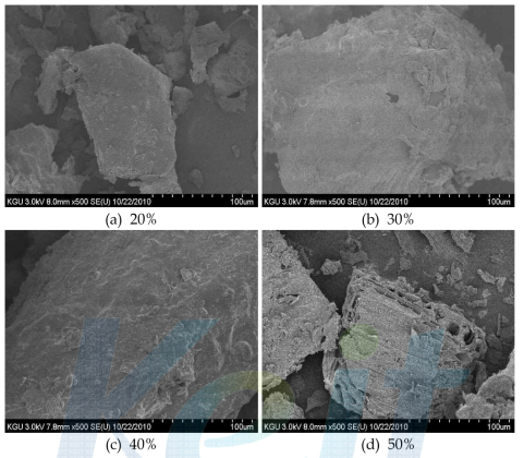 SEM pictures of residue with dairy cattle manure content