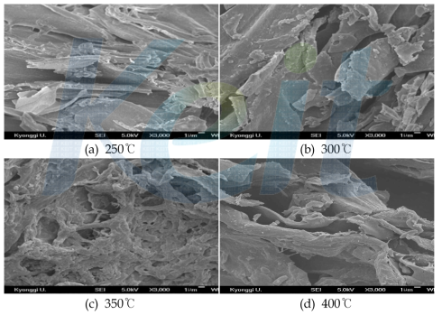 SEM pictures of carbonization residue from woody biomass with carbonization temperature