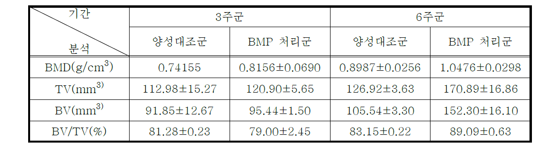 Rat subcutaneous model을 이용한 복합체로 구성된 골이식물의 microCT 분석