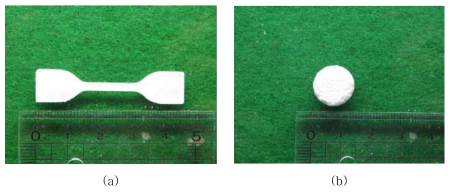 PLGA를 이용하여 제작한 지지체 (a) film type (b) scaffold type