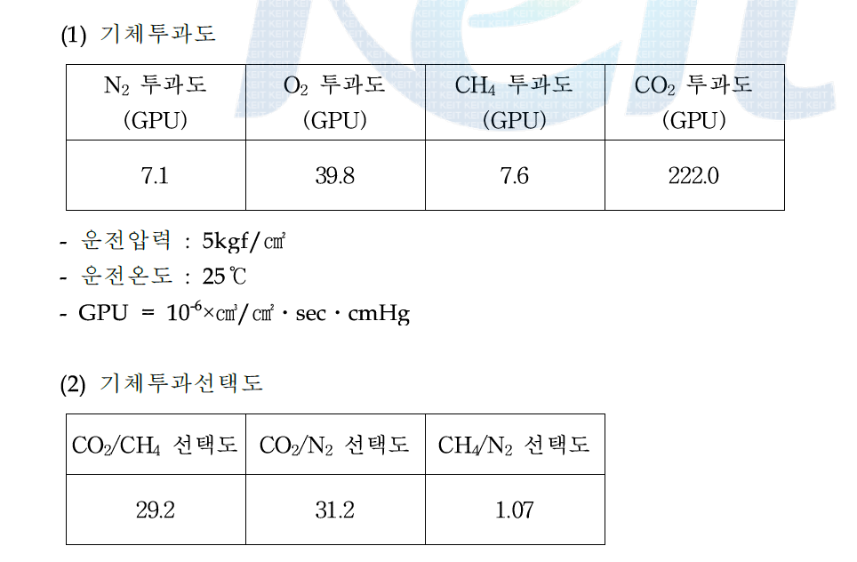 중공사막 기체투과 성능