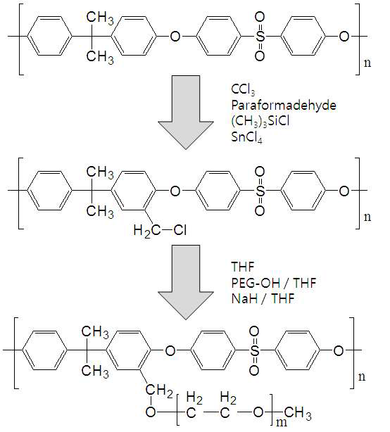 Polysulfone-graft-poly(ethylene glycol) 합성 모식도