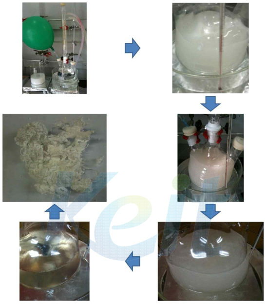 Chloromethylated polysulfone 합성 방법