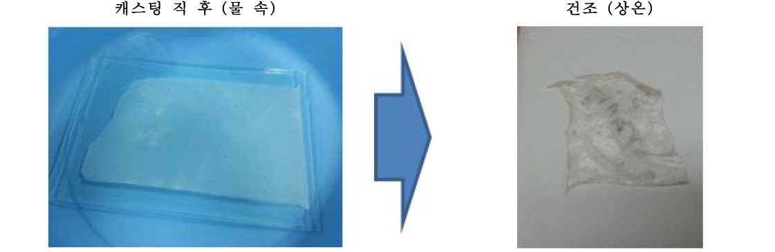 PSF-g-PEG 제막 후 변화 관찰