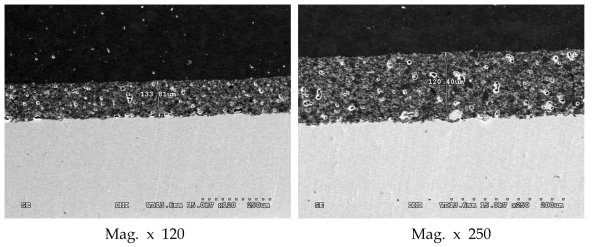 Ni-Cr-2.5Ti 합금 메탈-세라믹 접합계면 SEM 이미지