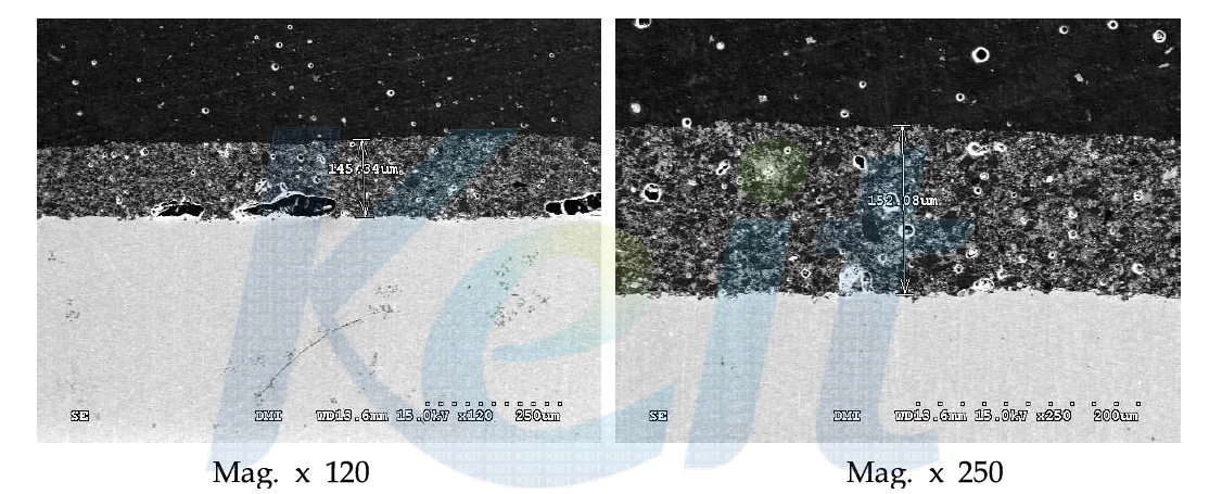 Ni-Cr-5Ti 합금 메탈-세라믹 접합계면 SEM 이미지