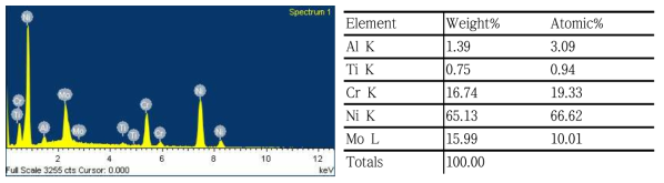 외산품(Vi-Star Partial Metal)의 성분분석 결과 ; EDS