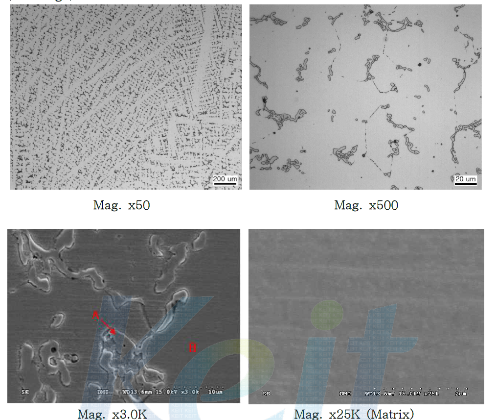 개량 합금 KM-Bego의 미세조직 결과 ; OM, SEM
