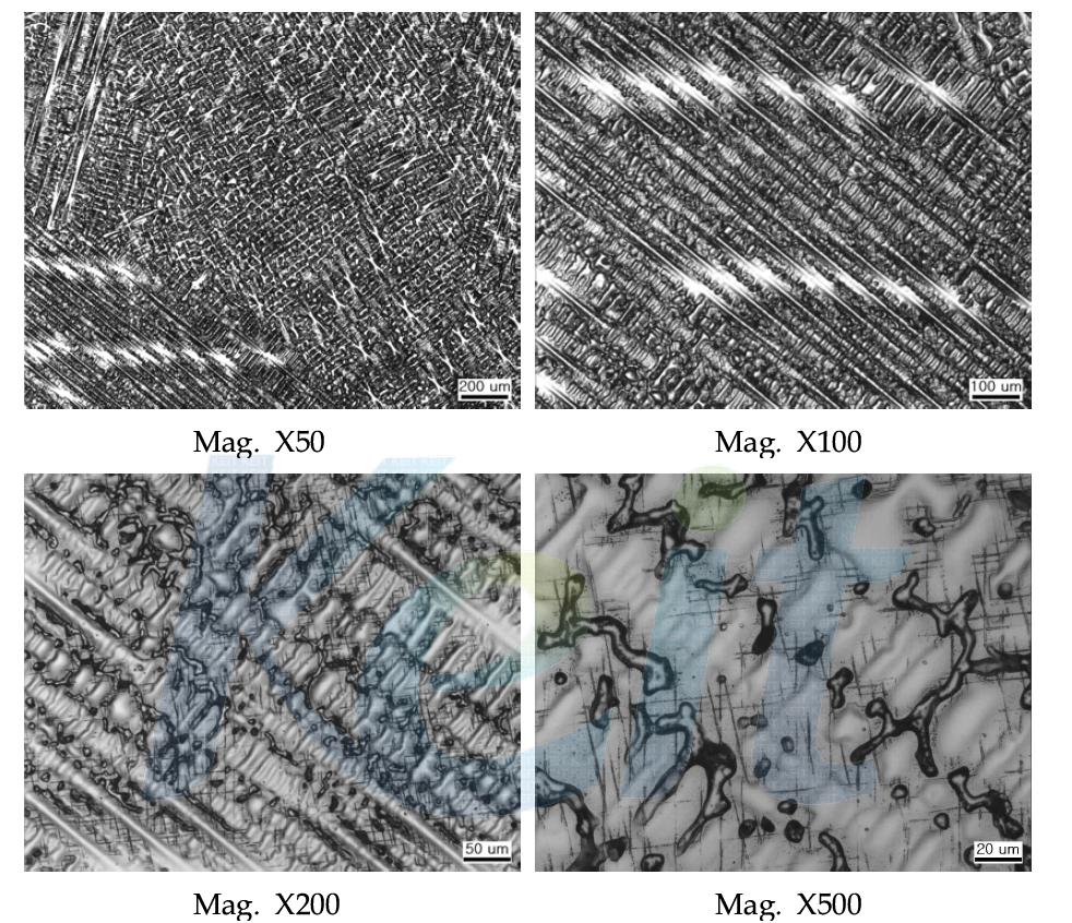 외산품(Alphalloy)의 미세조직 결과