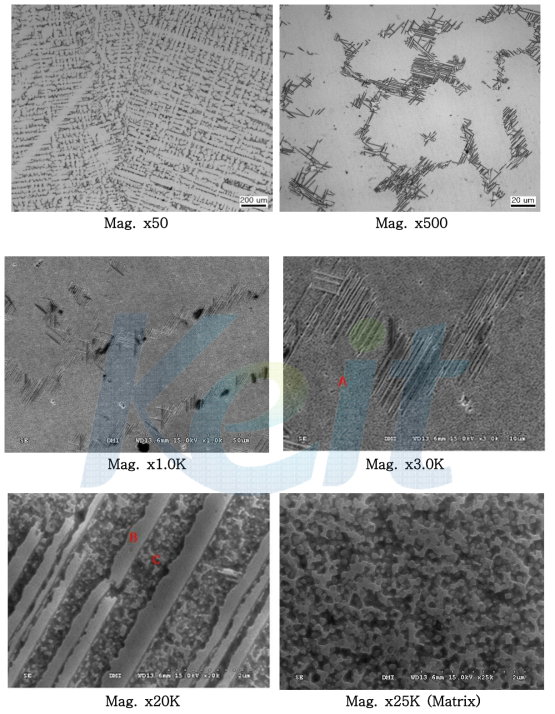 개량 합금 KT-KPCM의 미세조직 결과 ; OM, SEM