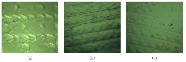 현미경 사진. (a) 경화 전 (b) 24시간 경화 후 (c) 48시간 경화 후