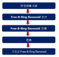 Pilot scale 제조를 위한 제조공정도