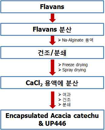 Flavans capsulation 제조공정도