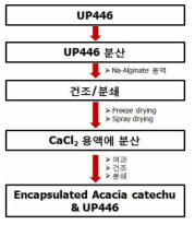 UP446 capsulation 제조공정도