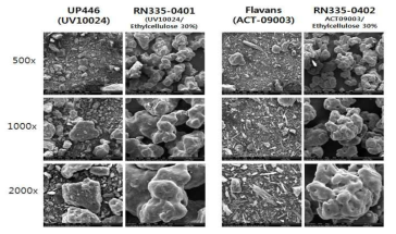 Coating 방법에 의해 제조된 UP446, Flavans SEM 결과