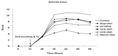 Changes in the arthritic index in type II collagen-induced arthritic mice over time.