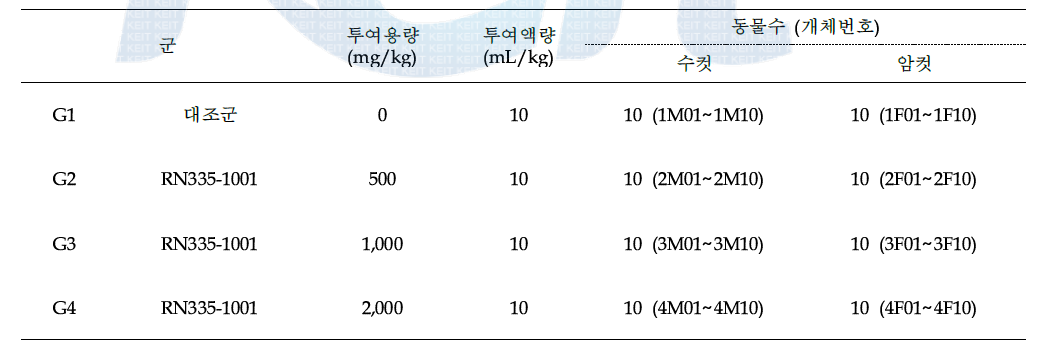 시험군 및 용량