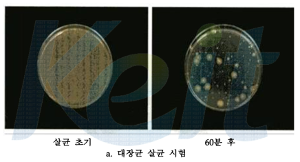 자외선 물 살균장치 결과