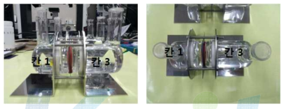 칸 1은 증류수, 칸 3은 3mol/L NaCl 수용액 45일 침지