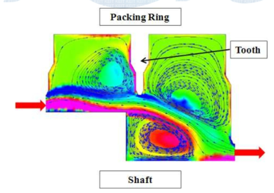 Packing Ring과 Shaft 사이에서 발생하는 작동유체의 유동