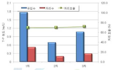 개발제품에 의한 T-P 처리 결과