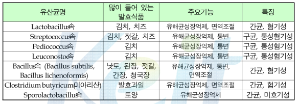 유산균의 속별 주요기능