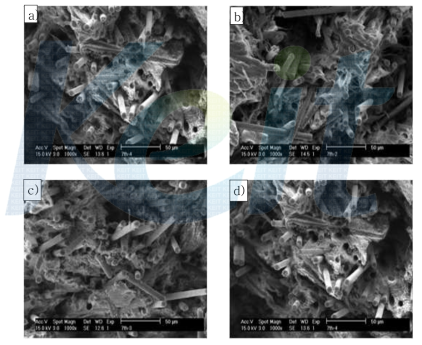 LCP/CF 70/30 composite의 CAl 함량별 SEM 사진