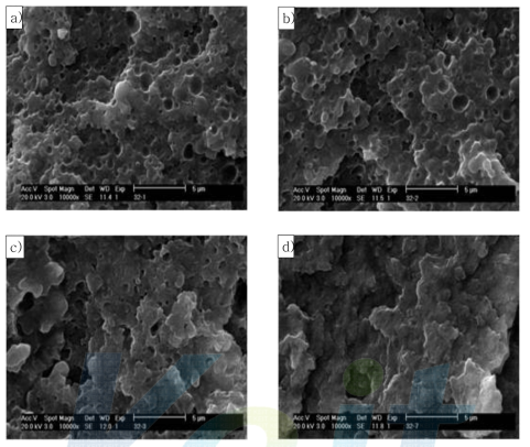 PPS/RBm 80/20 blend의 상용화제 종류별 SEM 사진