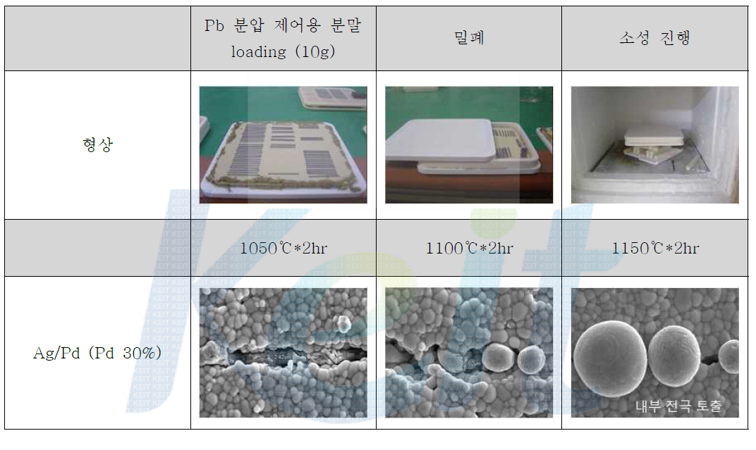 Pb 분압 제어 과정 및 소성 온도에 따른 전극 형상