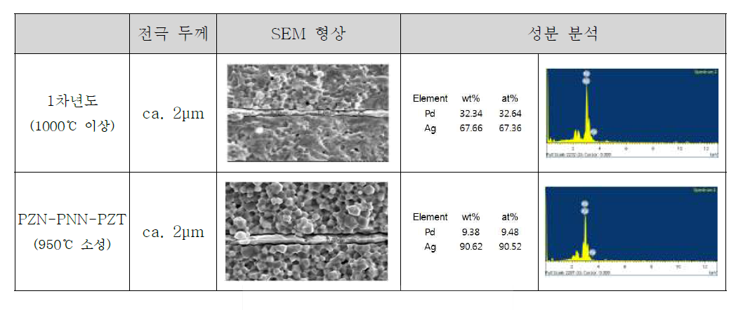 소성 조건별 SEM/EDS 분석