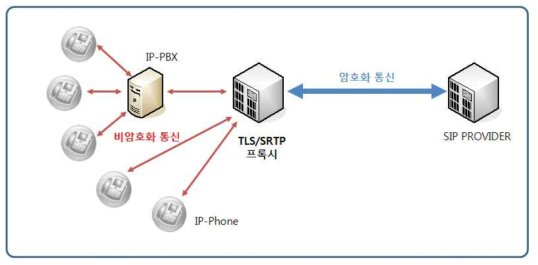 TLS/SRTP 프록시 구성