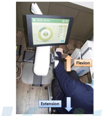 어깨관절의 신전/굴곡(flextion/extension)사진