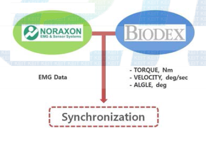 Synchronization of Noraxon System and Biodex Medical System