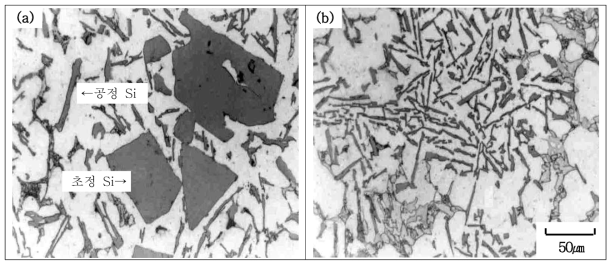 개량화제 무첨가된 과공정합금의 미세조직